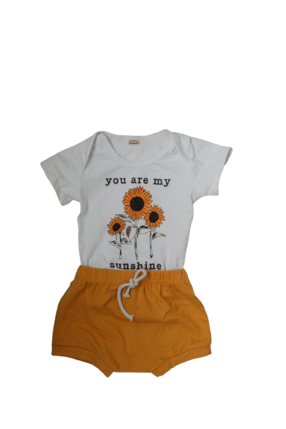 pexels kpaukshtite 4256552 removebg preview